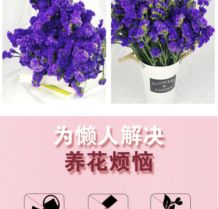云南勿忘我满天星干花花束 一份永不凋谢的自然礼物