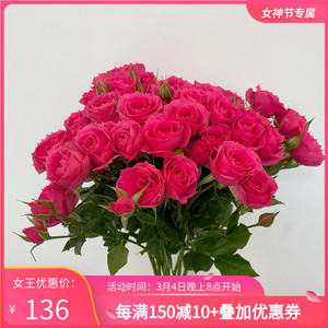 桃红玫瑰 馈赠中绽放的温柔与深情