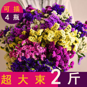 云南干花批发 为礼品花卉注入永恒之美